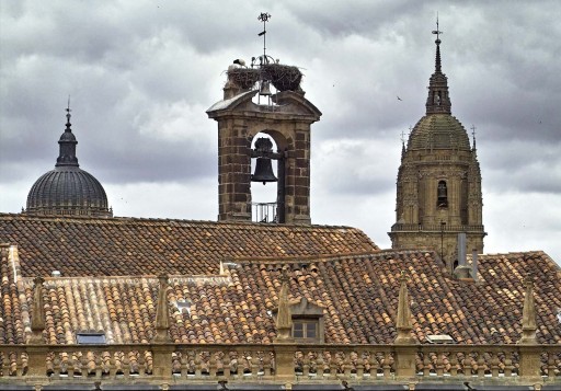 Plaza Mayor. Espadaña de San Martín, torre y cúpula de la Catedral. 2004