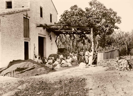 ANNA M. CHRISTIAN, 1915. Embalaje de cebollas para el mercado. Un pueblo de Valencia donde todos los habitantes viven de cultivar cebollas y embalarlas. Valencia